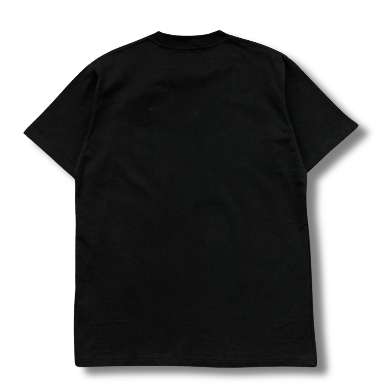 Spider T-Shirt 555