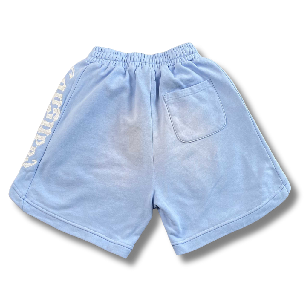 G Speed shorts light blue