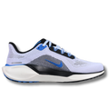 Blue Kicks Nice Pegasus