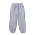 The N Face Trousers Gray