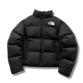 The N Face winter Jacket Black