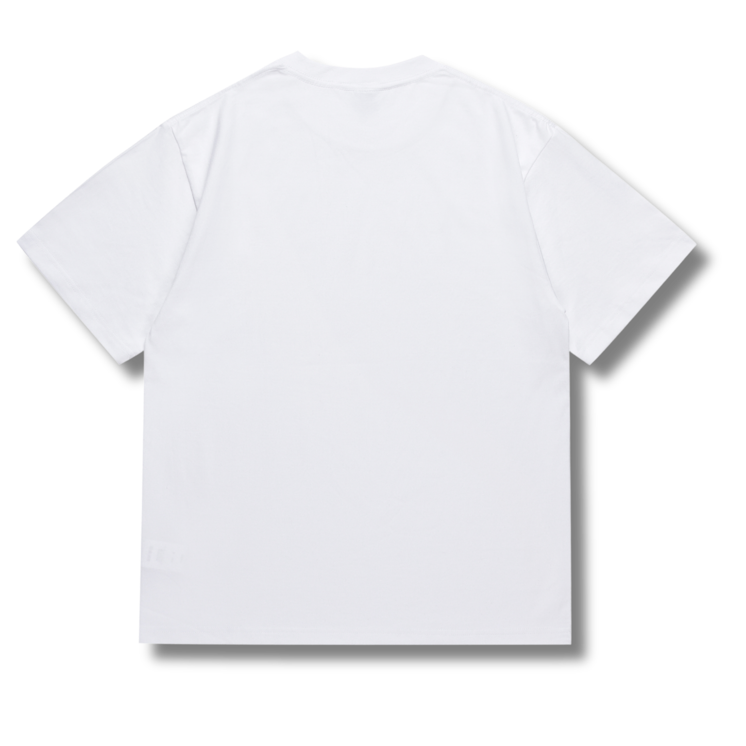 Ape T-shirt Rainbow white
