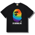 Ape T-shirt Rainbow black